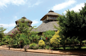 Read more about the article Mora Heights Hotel